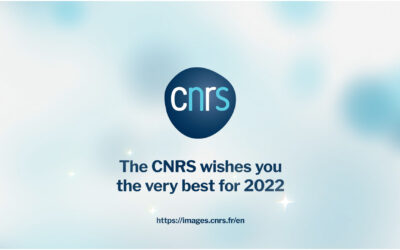 The CNRS wishes you the very best for 2022!